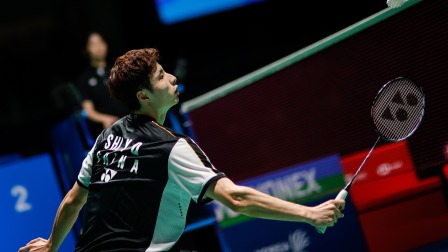 已经向他们 已经向他们